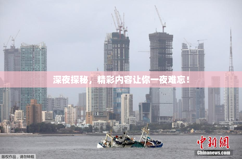 深夜探秘，精彩内容让你一夜难忘！