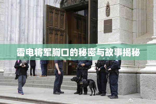 雷电将军胸口的秘密与故事揭秘