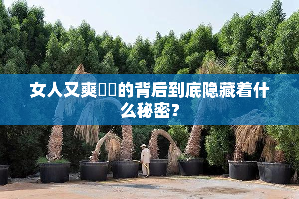 女人又爽❌‌的背后到底隐藏着什么秘密？