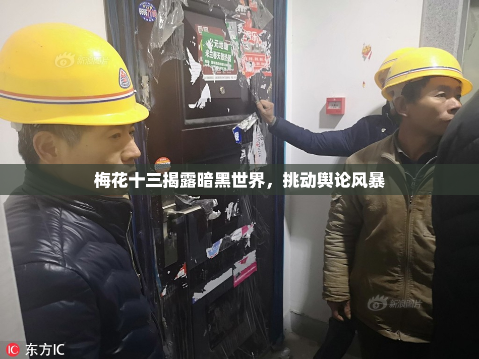 梅花十三揭露暗黑世界，挑动舆论风暴