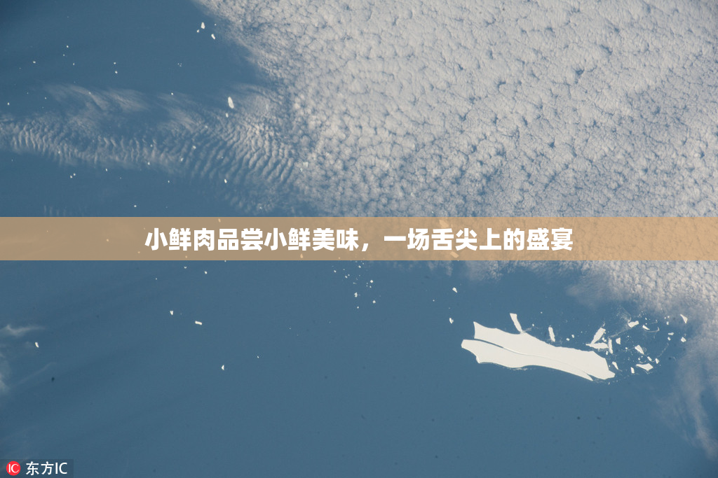小鲜肉品尝小鲜美味，一场舌尖上的盛宴