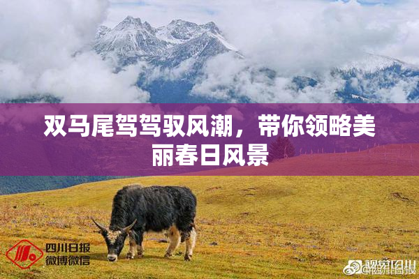 双马尾驾驾驭风潮，带你领略美丽春日风景