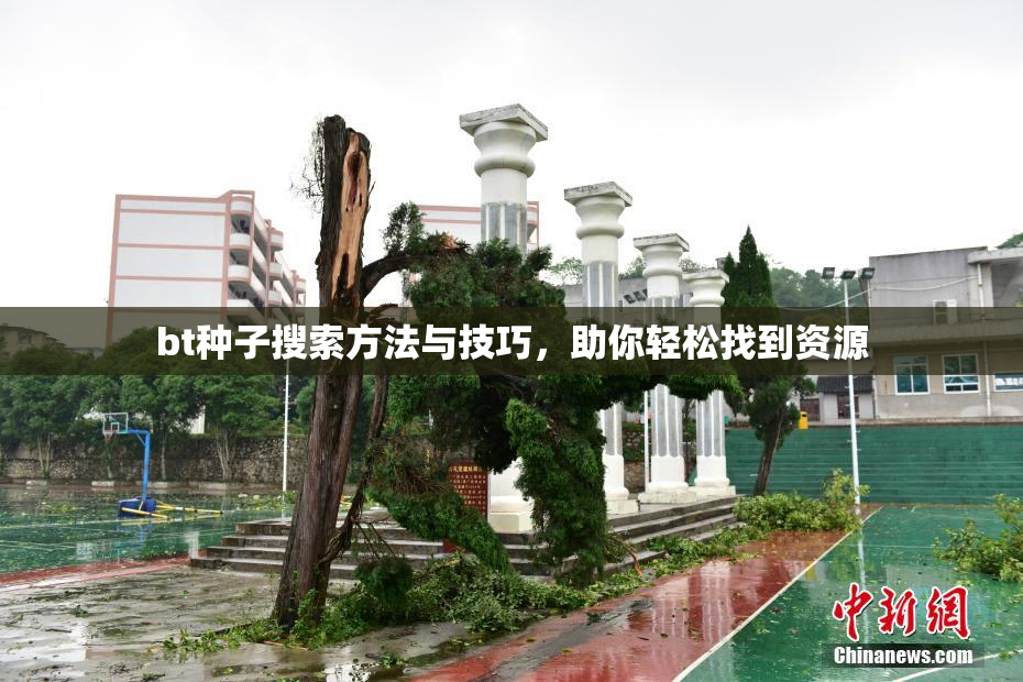 bt种子搜索方法与技巧，助你轻松找到资源