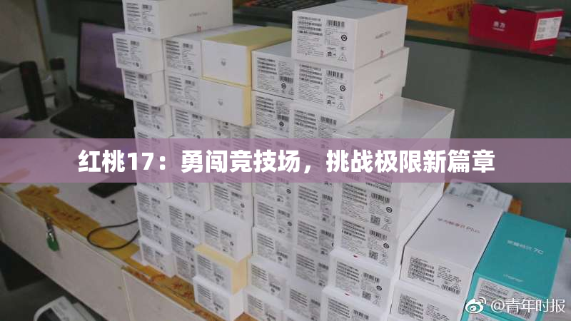 红桃17：勇闯竞技场，挑战极限新篇章