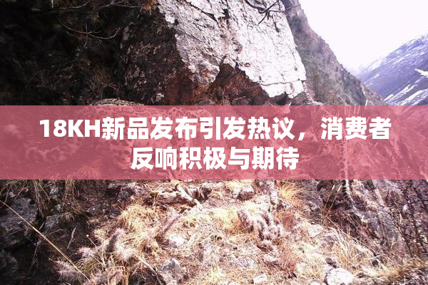 18KH新品发布引发热议，消费者反响积极与期待