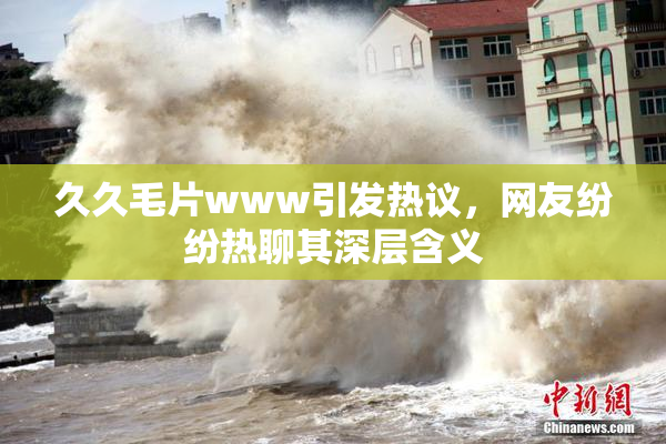 久久毛片www引发热议，网友纷纷热聊其深层含义