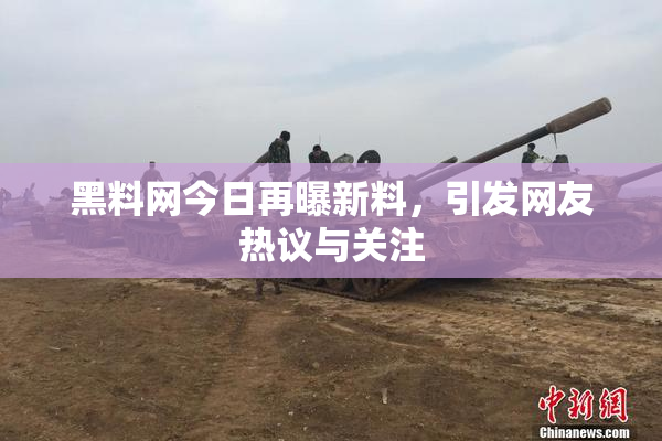 黑料网今日再曝新料，引发网友热议与关注