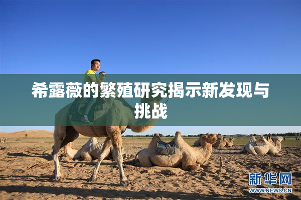 希露薇的繁殖研究揭示新发现与挑战