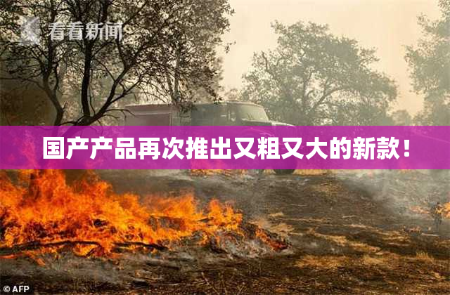 国产产品再次推出又粗又大的新款！