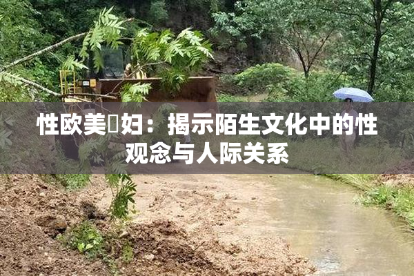 性欧美婬妇：揭示陌生文化中的性观念与人际关系
