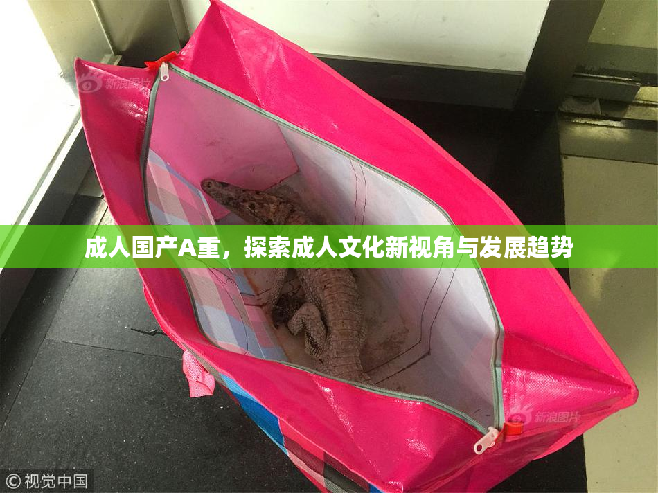 成人国产A重，探索成人文化新视角与发展趋势
