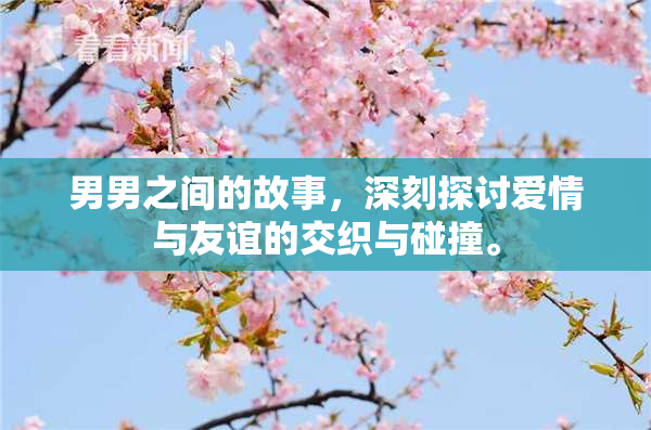 男男之间的故事，深刻探讨爱情与友谊的交织与碰撞。