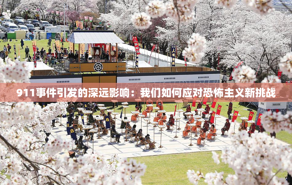 911事件引发的深远影响：我们如何应对恐怖主义新挑战
