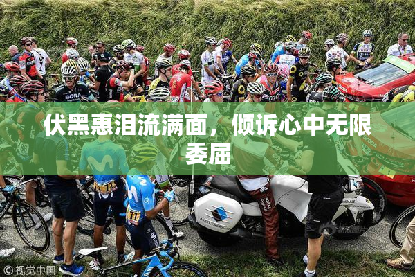 伏黑惠泪流满面，倾诉心中无限委屈