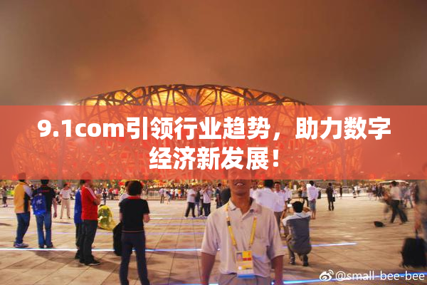 9.1com引领行业趋势，助力数字经济新发展！