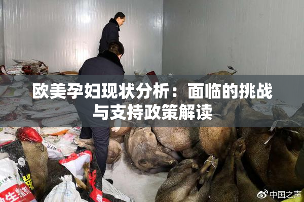 欧美孕妇现状分析：面临的挑战与支持政策解读