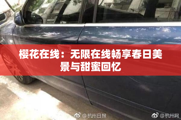 樱花在线：无限在线畅享春日美景与甜蜜回忆