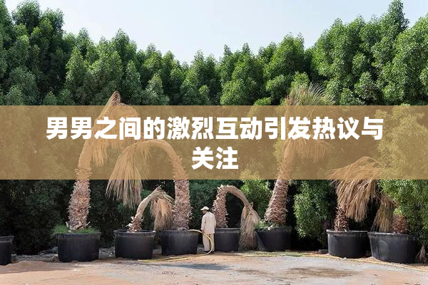 男男之间的激烈互动引发热议与关注