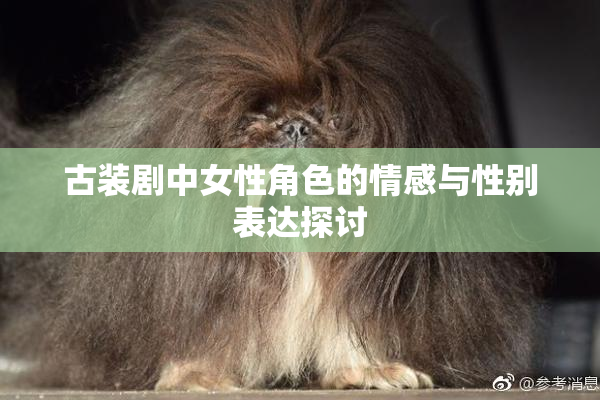 古装剧中女性角色的情感与性别表达探讨