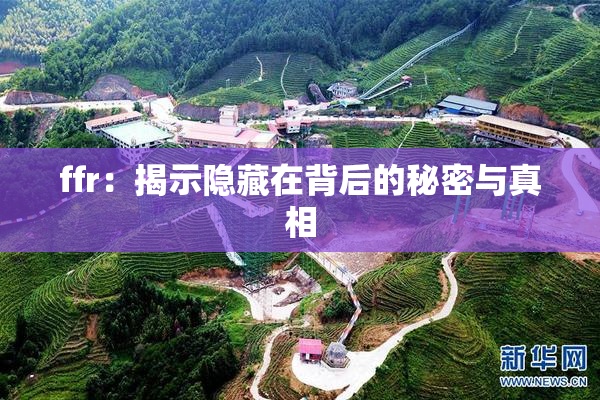 ffr：揭示隐藏在背后的秘密与真相