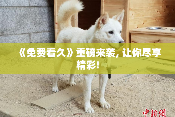 《免费看久》重磅来袭, 让你尽享精彩!
