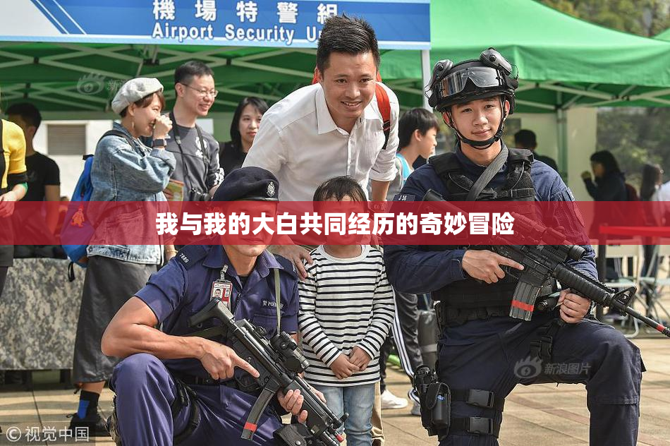 我与我的大白共同经历的奇妙冒险