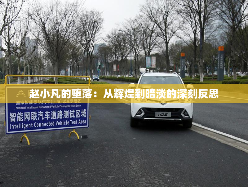 赵小凡的堕落：从辉煌到暗淡的深刻反思