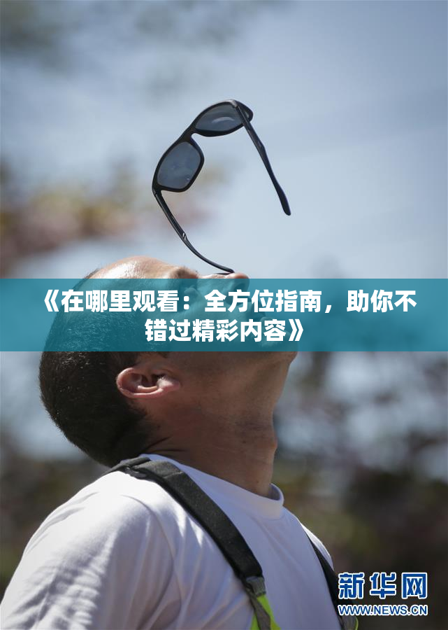 《在哪里观看：全方位指南，助你不错过精彩内容》