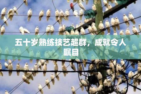 五十岁熟练技艺超群，成就令人瞩目