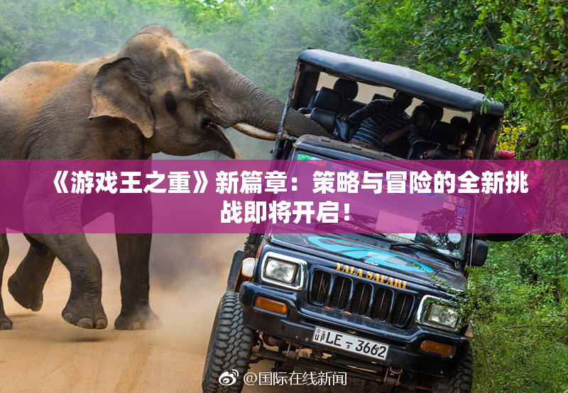 《游戏王之重》新篇章：策略与冒险的全新挑战即将开启！
