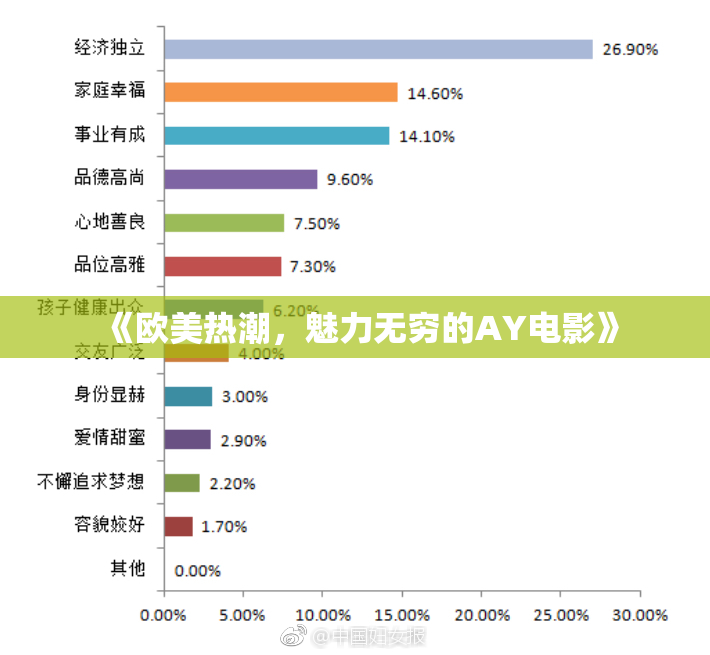 《欧美热潮，魅力无穷的AY电影》