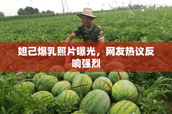 妲己爆乳照片曝光，网友热议反响强烈