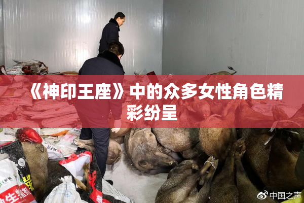 《神印王座》中的众多女性角色精彩纷呈