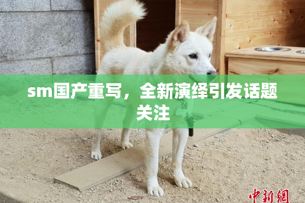 sm国产重写，全新演绎引发话题关注