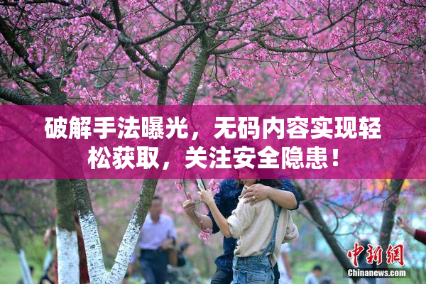 破解手法曝光，无码内容实现轻松获取，关注安全隐患！