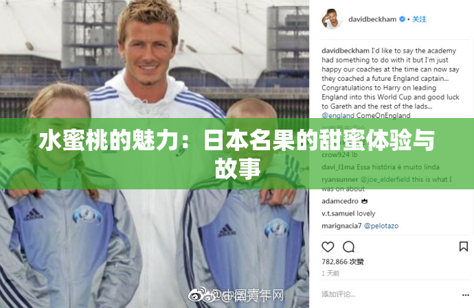 水蜜桃的魅力：日本名果的甜蜜体验与故事