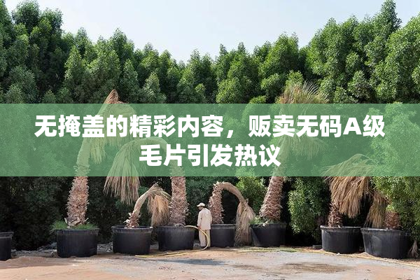 无掩盖的精彩内容，贩卖无码A级毛片引发热议