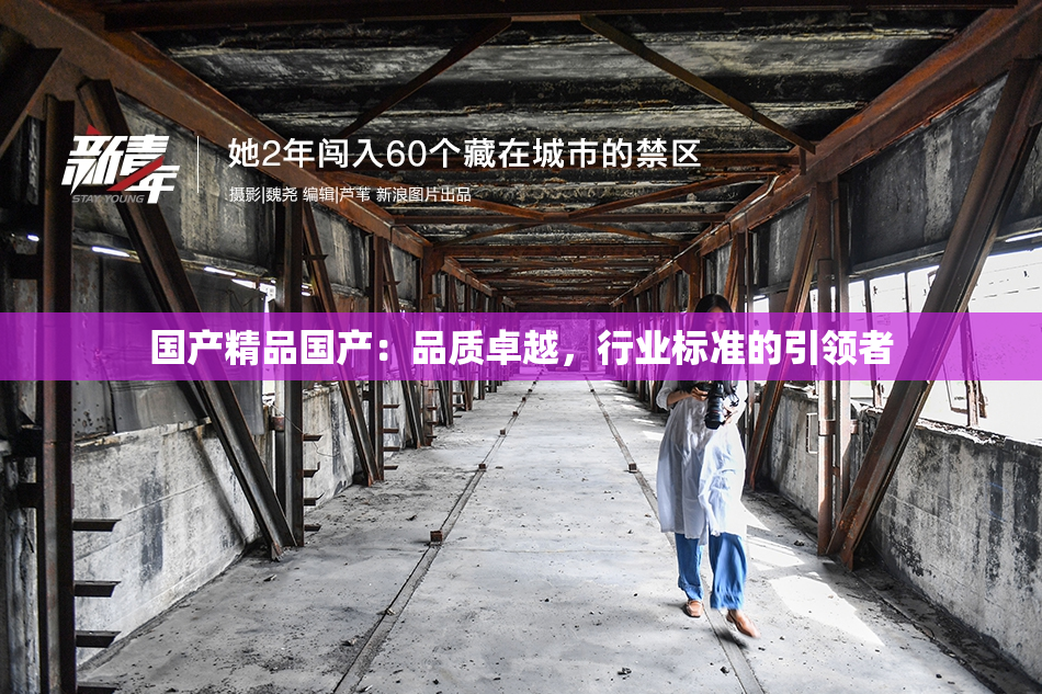 国产精品国产：品质卓越，行业标准的引领者