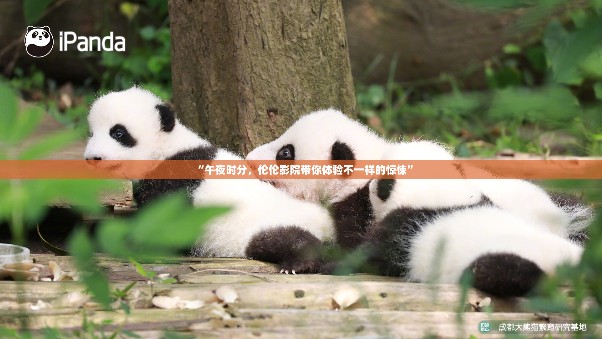 “午夜时分，伦伦影院带你体验不一样的惊悚”