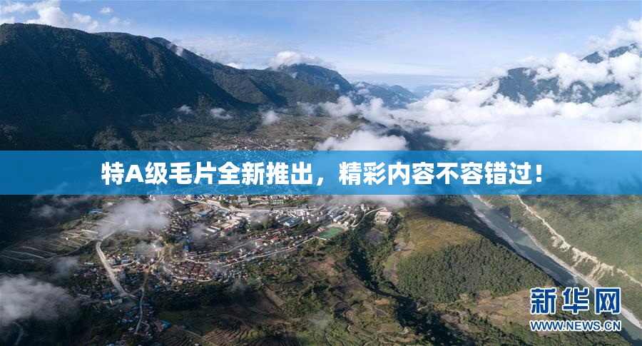 特A级毛片全新推出，精彩内容不容错过！