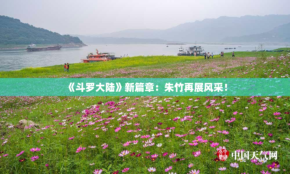 《斗罗大陆》新篇章：朱竹再展风采！