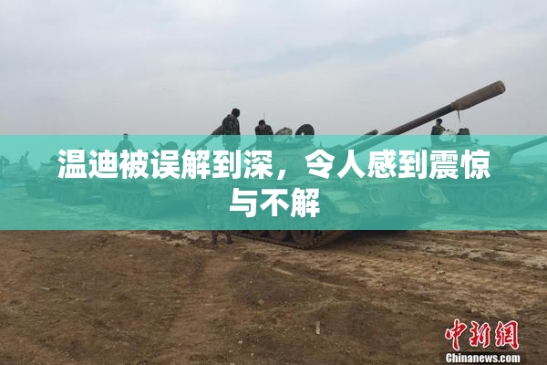 温迪被误解到深，令人感到震惊与不解