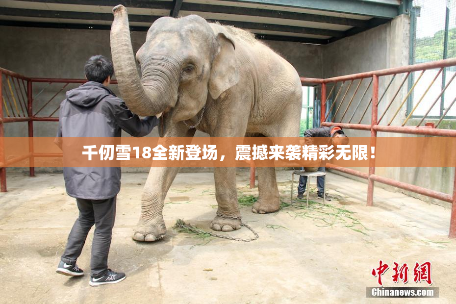 千仞雪18全新登场，震撼来袭精彩无限！