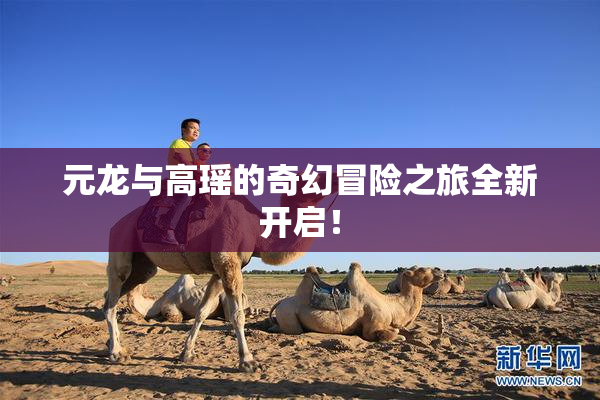 元龙与高瑶的奇幻冒险之旅全新开启！