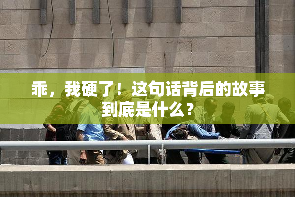 乖，我硬了！这句话背后的故事到底是什么？