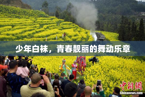 少年白袜，青春靓丽的舞动乐章