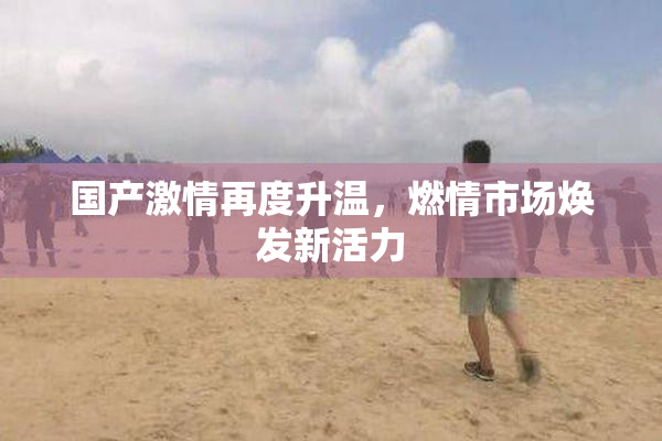 国产激情再度升温，燃情市场焕发新活力