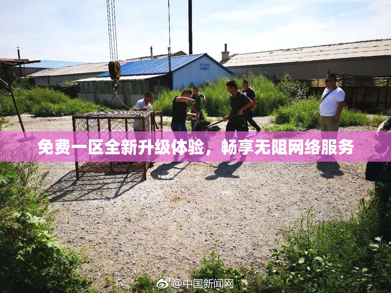 免费一区全新升级体验，畅享无阻网络服务
