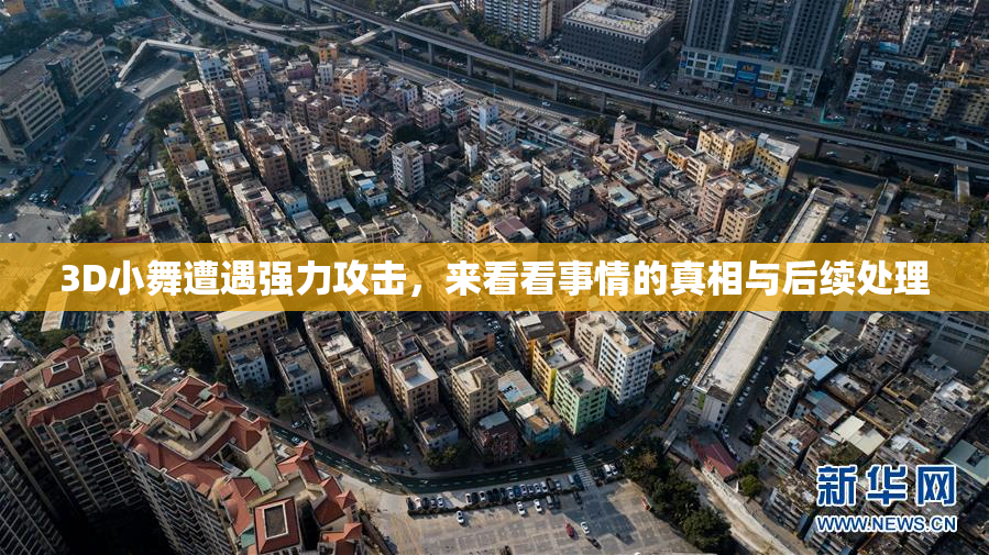 3D小舞遭遇强力攻击，来看看事情的真相与后续处理