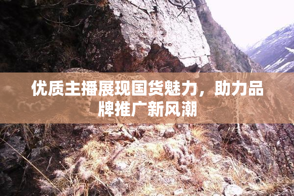 优质主播展现国货魅力，助力品牌推广新风潮